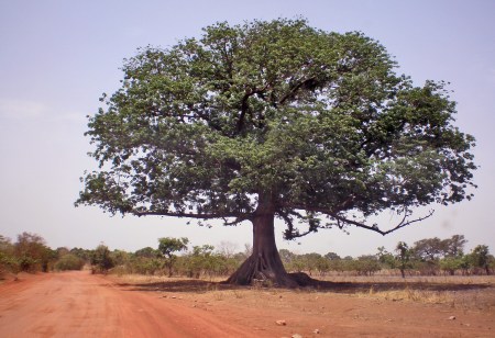 BURKIINA FASO 35 (HACIA LERABA Y KENEDOUGOU) MAS AL SUR LA PISTA ESTA VINIENDO MAS ROJA