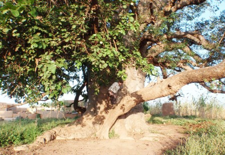 BURKIINA FASO 58 (TIEBELE, UN POBLADO DE LA ETNIA KASSENA) EN EL BAO BAD SAGRADO