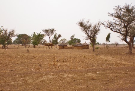 MALI 248 (DE BANDARIAGA A LA FRONTERA CON BURKINA FASO) UNA ZONA MUY POBLADA