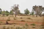 MALI 249 (DE BANDARIAGA A LA FRONTERA CON BURKINA FASO) PEQUEÑOS POBLADOS A DERECHA E IZQUIERDA