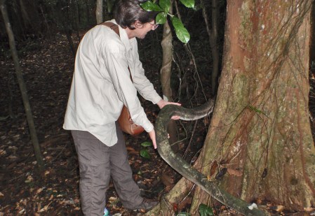 GHANA 22 (LA RESERVA DE BOBIRI Y SANTUARIO DE MARIPOSAS) NO ES UNA SERPIENTE, ES UNA LIANA