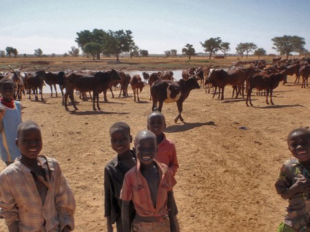 31 (LOS NIÑOS EN NIGER) NIÑOS PEUL GUARDANDO EL GANADO