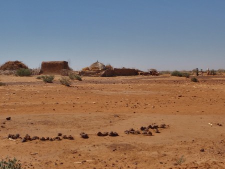 NIGER 11 (HACIA NIAMEY) PAISAJES 5