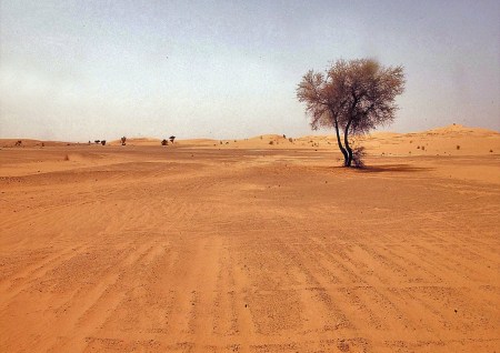 NIGER 13 (HACIA NIAMEY) PAISAJES 7