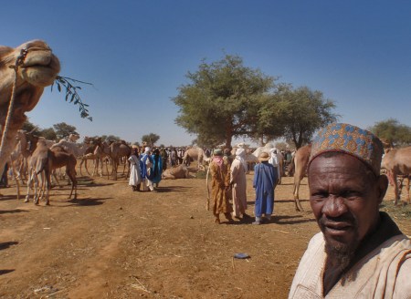 NIGER 15 (MERCADO DE DROMEDARIOS DE MADAOUA) EL MISMO MERCADOS HAOUSSAS Y TUAREGS JUNTOS