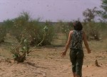 NIGER 19 (UNA PLAGA DE LANGOSTAS) DE PASEO POR MEDIO DEL ENJAMBRE