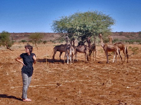 NIGER 5 (HACIA NIAMEY) PARECE NO ES UNA LAYENDA CUANDO DICEN QUE ES EL PAIS CON MAS DROMEDARIOS
