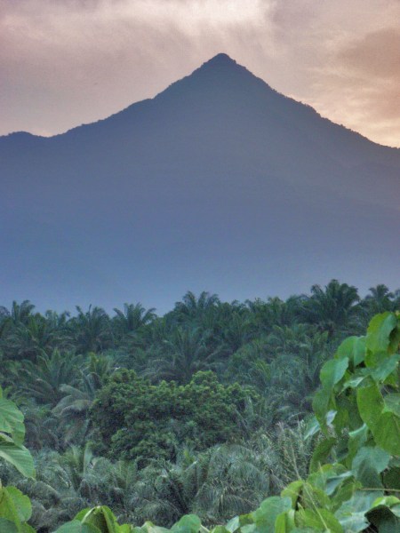 CAMERUN 152. EL VOLCAN MONTE CAMERUN. ES EL VOLCAN ACTIVO MAS GRANDE DE AFRICA EN 1992, UNA ERUPCION ALCANZO EL OCANO ATLÁNTICO, EL MARINO CARTAGINES HANNON PODRIA HABER OBSERVADO UNA ERUPCION DESDE EL MAR EN EL SIGLO 5 A C.