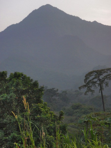 CAMERUN 154. EL VOLCAN MONTE CAMERUN. EN GENERAL P0R CULPA DEL FUERTE CALOR Y AL ALTO GRADO DE HUMEDAD ESTA NUBOSO Y BRUMOSO, NO ES TAN FRECUENTE VER LA CUMBRE NITIDA