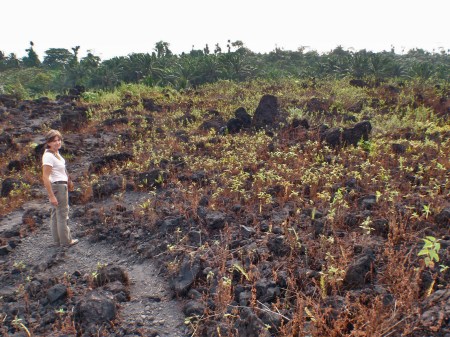 CAMERUN 159. EL VOLCAN MONTE CAMERUN. ... PERO YA ES MOMENTO DE DESCENDER