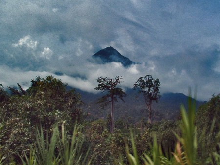CAMERUN 162. LA REGION DE LIMBE (CIUDAD) VIVE UN POCO PENDIENTE DE LOS HUMORES DEL VOLCAN CAMERUN DISTANTE 20 KM. A VUELO DE PAJARO, EN MAYO DEL 2000 SE PRODUJO LA ULTIMA ERUPCION, EN EL SGLO XX YA HA HABIDO SEIS