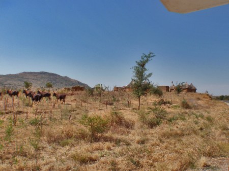 CAMERUN 19 (EXTREMO NORTE) HACIA RHUMSIKI DESDE MORA. POBLADO CERCA DE OUDJILLA