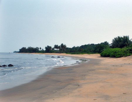 CAMERUN 214. POR EL DEPARTAMENTO DEL OCEANO. (UNOS DIAS DE DESCANSO) LOS ALREDEDORES DEL CAMPING, EN LAS PLAYAS DE ARENA DE LA ZONA NACEN LAS CRIAS DOS ESPECIES DE TORTUGAS MARINAS, LA LAUD (DERMOCHELYS CORIACEA) Y LA GOLFINA (LEPIDOCHELYS OLIVACEA)
