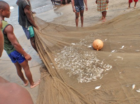 CAMERUN 231. POR EL DEPARTAMENTO DEL OCEANO. (LA CIUDAD DE KRIBI) ... ESTE SISTEMA DE PESCA SE USO MUCHOB EN EL PASADO, EN LA COSTA MEDITERRANEA ESPAÑOLA...