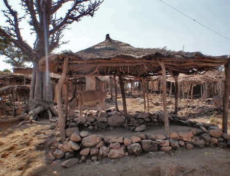 CAMERUN 39 (EXTREMO NORTE) POBLADO DE RHUMSIKI.LUGAR DONDE SE CELEBRAN LOS DIAS DE MERCAD