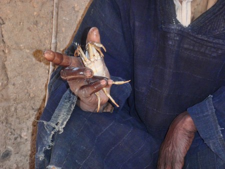 CAMERUN 52 EL BRUJO DE LOS CANGREJOS. ...DICEN QUE EL CANGREJO LO COJEN EN UN RIO CERCANO Y CADA DOS AÑOS HAY QUE TRAER UNO NUEVO, PERO YO NO CREO QUE EL CANGREJO SEA DE RIO...