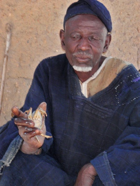 CAMERUN 53 EL BRUJO DE LOS CANGREJOS. ...PARA MI ES DE MAR, SE PARECE AL CARCINUS MAENAS, PERO EL PROBLEMA ES QUE EL OCEANO ESTA MAS DE 1.0000 KM Y LAS CARRETERA SON INFERNALES Y LOS MEDIOS DE COMUNICACION CASI INEXISTENTES...