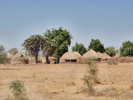 CAMERUN 83 (LA REGION DE LOS MUSGUM). ESTILO DE CHOZAS DE LA COMARCA