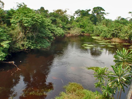 GABON 10. (AL NORTE) DEL ECUADOR). IMAGENES DE RIOS DEL NORTE 1