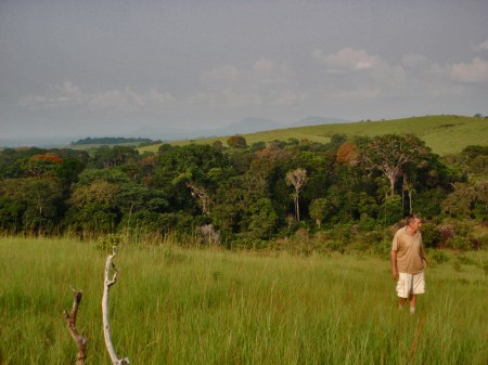 GABON 103. (EL PARQUE NACIONAL DE LA LOPE) TAMBIEN EN EL NORTE POR LO GENERAL NO HAY GRANDES ARBOLES SELVATICOS, EL ORIGEN DE ESTAS SABANAS AUN CIENTIFICAMENTE SON INEXPLICABLES