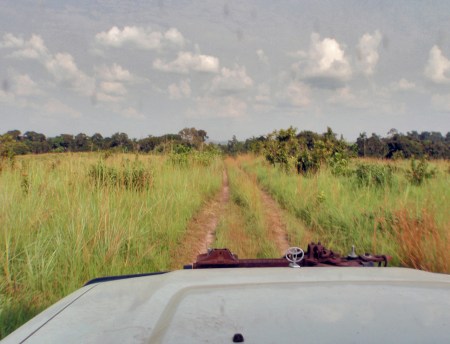GABON 104. (EL PARQUE NACIONAL DE LA LOPE) EN LA SABANA HAY MUCHAS PEQUEÑAS PISTAS QUE SE ENTRCRUZAN