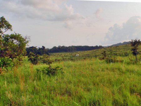 GABON 106. (EL PARQUE NACIONAL DE LA LOPE) NOS DIRIGIMOS AL SUR ...
