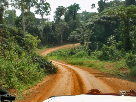 GABON 20. (AL NORTE) DEL ECUADOR). PISTAS FORESTALES ...