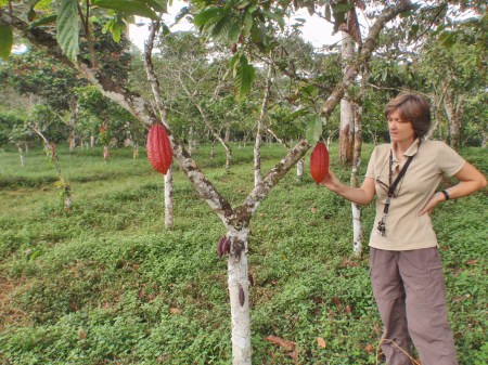 GABON 4. (AL NORTE) DEL ECUADOR) ...PARA ELLO ES NECESARIO CREAR NUEVAS ZONAS DE CULTIVO A FIN DE RELANZAR LA PRODUCCION