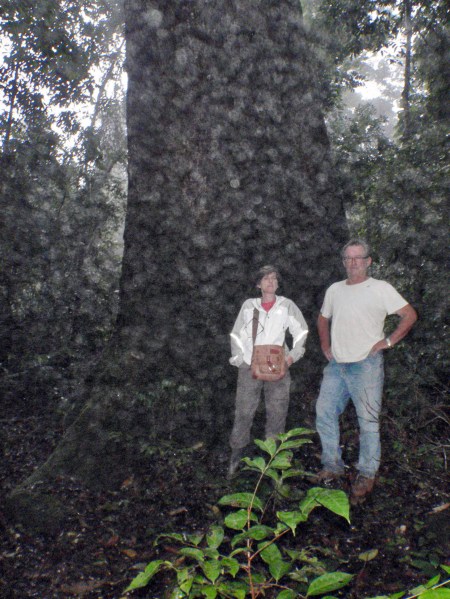 GABON 41. (DE MANDJI HACIA LOANGO) CON D. JOSE LUIS BONNIN DIRECTOR DEEXPLOTACIONES DE LA " COMPAGNIE DES BOIS DU GABON (C.B.G)" ES DE ORIGEN ESPAÑOL Y HA SIDO AMABILISIMO CON NOSOTROS...