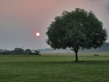 GABON 50. (EL PARQUE NACIONAL DE LOANGO) ES LA VERDADERA JOYA DE LA COSTA OESTE DE AFRICANA, EL NATURALISTA MIKE FAY LE LLAMO “EL ULTIMO EDEN DE AFRICA”
