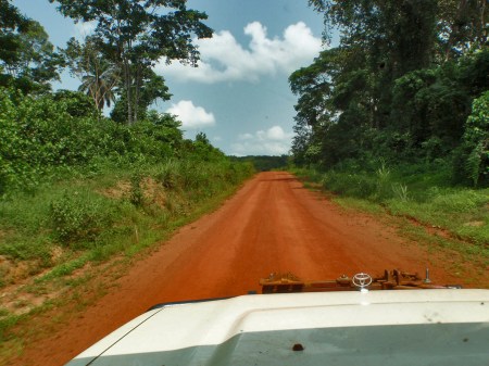 GABON 58. (EL PARQUE NACIONAL DE LOANGO) ES UNA MARAVILLA CONDUCIR POR CIERTAS PISTAS...