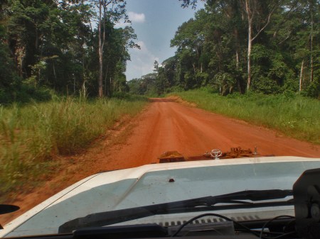 GABON 59. (EL PARQUE NACIONAL DE LOANGO)... A MENOS QUE LLUEVA QUE CODUCIR ES UNA ODISEA