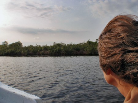 GABON 61. (EL PARQUE NACIONAL DE LOANGO) LA LAGUNA DE INGELA. LA LAGUNA DE INGELA. VEGETACIONES ES DE, SELVA MARINA, MANGLARES DE LA MARISMA, BOSQUE COSTERO, BOSQUE DE PANTANO, BOSQUE PLUVIAL Y SABANA