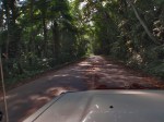 GABON 81. (DE CAMINO A FRANCEVILLE) CARRETERA NACIONAL N-1, CONDUCIR AQUI ES MUY CURIOSO...