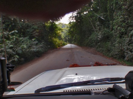GABON 82. (DE CAMINO A FRANCEVILLE) CARRETERA NACIONAL N-1, ... ES COMO PASEARTE POR LA SELVA VIRGEN ...