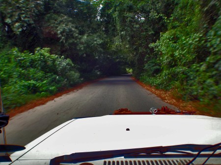 GABON 83. (DE CAMINO A FRANCEVILLE) CARRETERA NACIONAL N-1, ... A VECES TIENES SENSACION DE QUE ESTA NUBLADO, EL SOL NO LLEGA AL SUELO POR LA ESPESURA DE LA VEGETACION