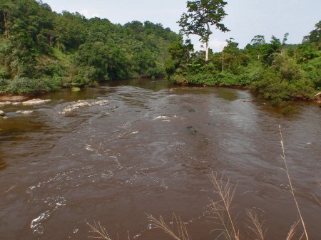 GABON 87. (DE CAMINO A FRANCEVILLE) CARRETERA NACIONAL N-3 (SIGUIENDO CURSO EL RIO OGOOUE) NACE EN LA REPUBLICA DEL CONGO, EN LOS MONTES NTALE, A UNA ALTITUD DE 840 METROS DE ALTURA
