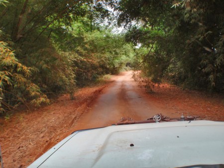 GABON 92. (DE CAMINO A FRANCEVILLE) CARRETERA NACIONAL N-3 (SIGUIENDO CURSO EL RIO OGOOUE) CONDUCIR POR ALGUNOS TROZOS LAS PISTA ES MUY AGRADABLES