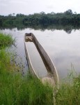 CONGO BRAZZAVILLE 24. (DISTRITO DE LA CUVETTE, POBLACION DE OYO) EL RIO ALIMA ES UN AFLUENTE DEL RIO CONGO, TIENE UNOS 500 KM. DE LONGITUD