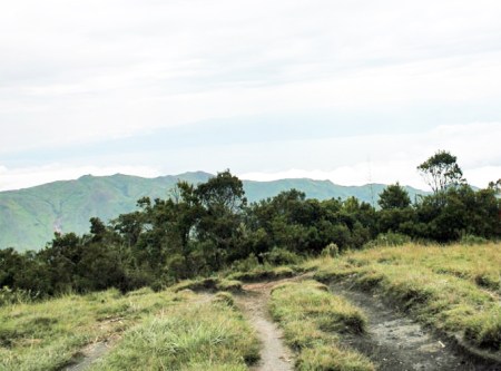 CONGO BRAZZAVILLE 32. (DISTRITO DEL PLATEAUX) PISTAS HACIA EL SUR POR LO MENOS NO HAY BARRO