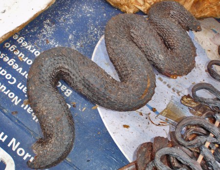 CONGO KINSASA 18. (KISANTU) DETALLE 3