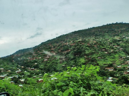 CONGO KINSASA 24. (BELVEDERE) DETALLE 1