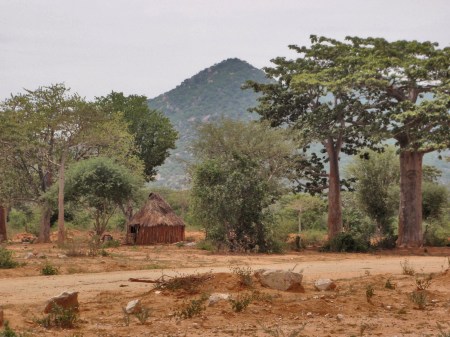 ANGOLA 40. (HACIA LA FRONTERA CON NAMIBA) POBLADOS DEL SUR 1